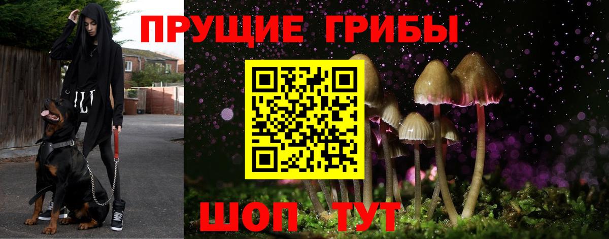 Галлюциногенные грибы GOLDEN TEACHER  Псилоцибиновые грибы ЛСД  Новочебоксарск  Вход с VPN 